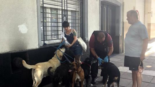 Murió un cuidador de perros y las mascotas quedaron solas