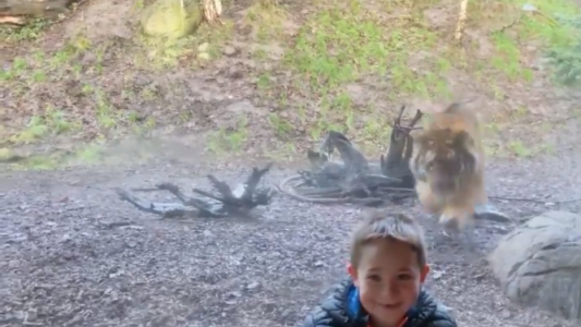 Un nene quería sacarse una foto en el zoo y se llevó tremendo susto