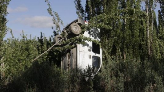 Extraño accidente: una camioneta quedó colgando de un árbol