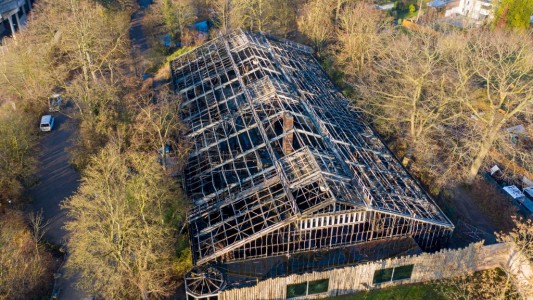 Incendio y muerte de 30 animales en un zoo: tres mujeres admitieron haber arrojado la pirotecnia
