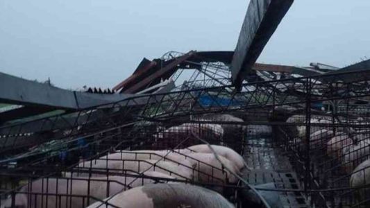 Fuerte temporal de viento causó destrozos en Río Cuarto