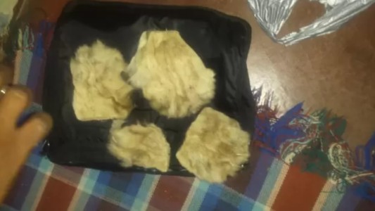 Cuatro detenidos por intentar vender patas de león