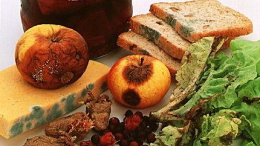 Cada 75 segundos muere una persona en el mundo por alimentos contaminados