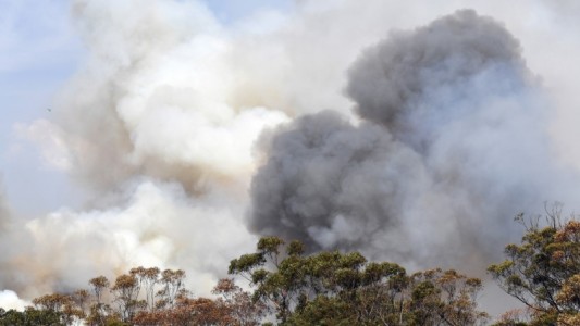 Australia: vientos huracanados generaron otro megaincendio