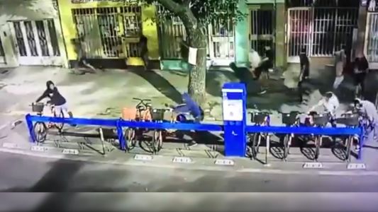 VIDEO: un grupo de chicos atacó e intentó robar una estación de bicicletas públicas