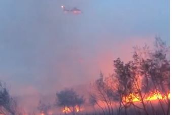 Videos: así apagaron el fuego en la Reserva Ecológica