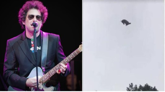 Andrés Calamaro le escribió 100 versos al chancho de Punta del Este