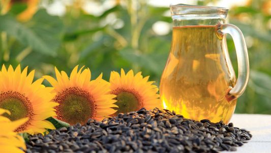 La ANMAT prohibió budines, alimentos orgánicos y un aceite de girasol