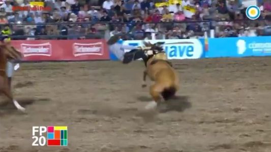 Festival de Jesús María: otro jinete está internado en grave estado tras caer de su caballo