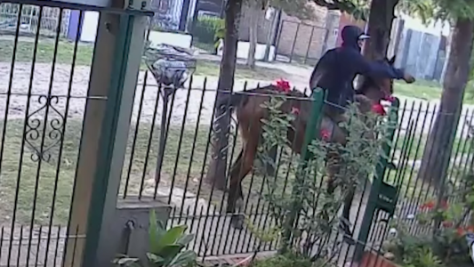 Como en el lejano oeste, roban a caballo en Merlo
