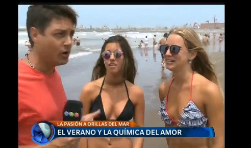 El verano y la química del amor