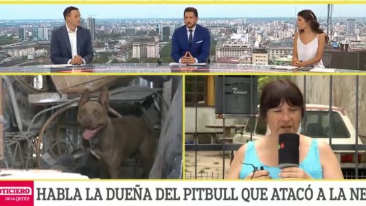 Habló la dueña del pitbull: "nunca imaginé que mi perro podría atacar a una criatura"