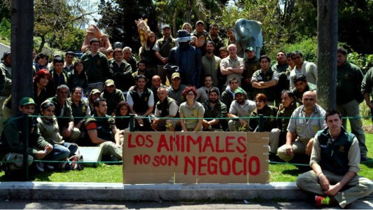 Director del zoológico porteño negó que vayan a mudarlo o cerrarlo