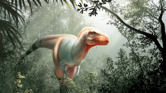 "El segador de la muerte", la nueva especie de dinosaurio identificado en Canadá