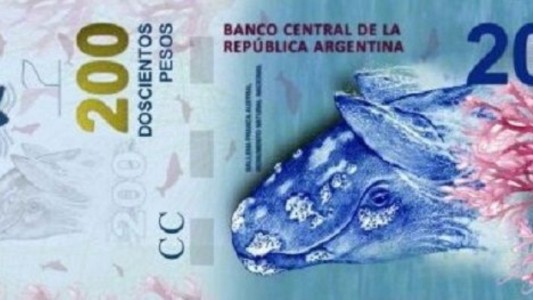 El insólito error en la ballena del nuevo billete de 200 pesos