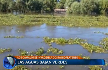 Las aguas bajan verdes
