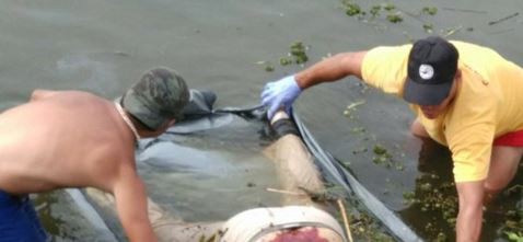 Entre camalotes y alimañas, apareció un cuerpo flotando en Quilmes