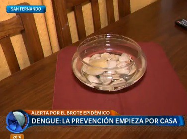 Dengue: la prevención empieza por casa