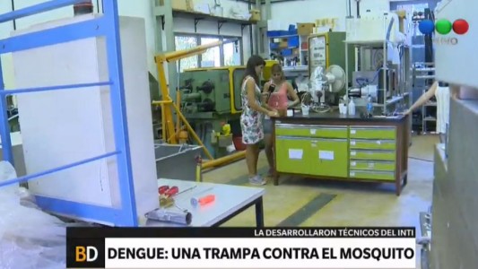Desarrollaron una trampa que frena la propagación del dengue