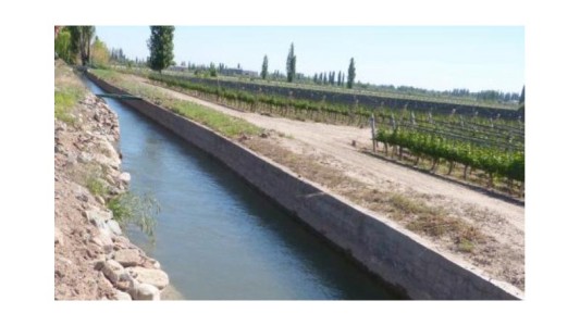 Murió un niño de dos años tras caer a un cauce de riego en Mendoza