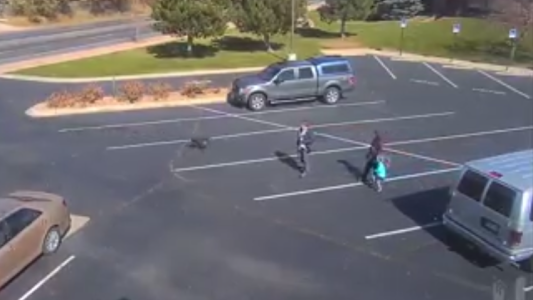 Brutal ataque de un perro a una niña de cinco años