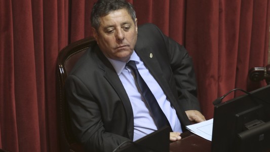 Tensión en el campo: "Ojalá no tengamos que cortar rutas", advirtió el senador De Angeli