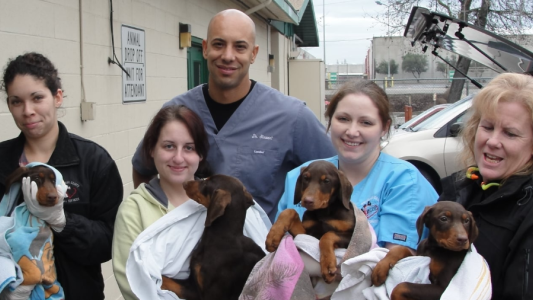 La historia del veterinario que atiende gratis a las mascotas de las personas sin techo