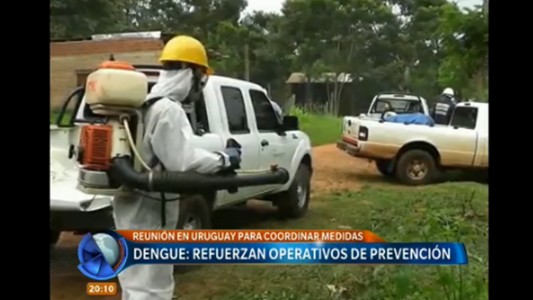 Dengue: refuerzan operativos de prevención