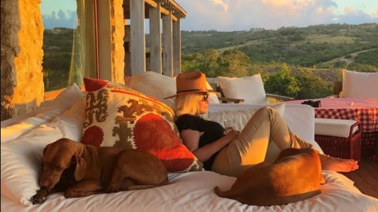 La divertida estrategia de Susana Giménez para evitar el efusivo saludo de sus perros