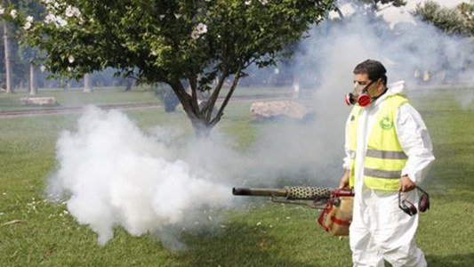 El Ministerio de Salud advirtió que los insecticidas no sirven para combatir al zika