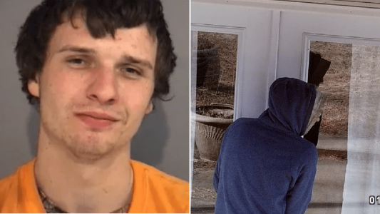 Revisó las cámaras de seguridad de su casa y descubrió que su amigo abusó de su perra embarazada