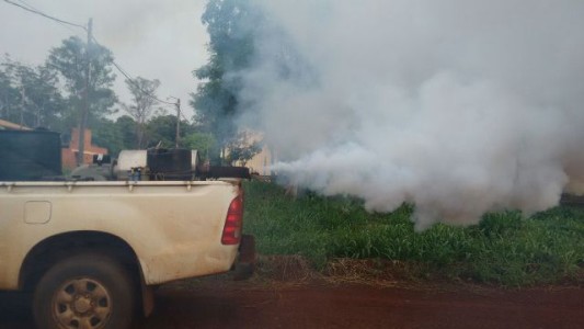 El Ministerio de Salud de Misiones reportó casi tres mil casos de dengue
