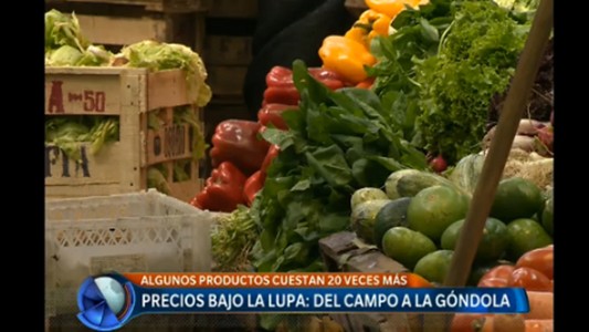 Precios bajo la lupa: del campo a la góndola