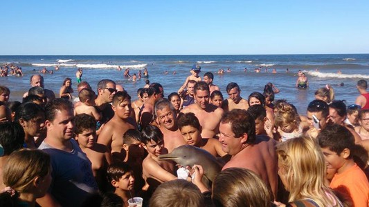 Habló el joven que sacó la foto del delfín en Santa Teresita: "Llegó muerto a la costa"