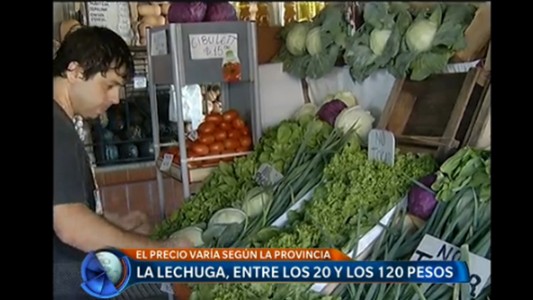 La lechuga, entre los 20 y 120 pesos