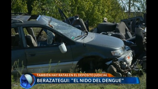 Berazategui: "el nido del dengue"