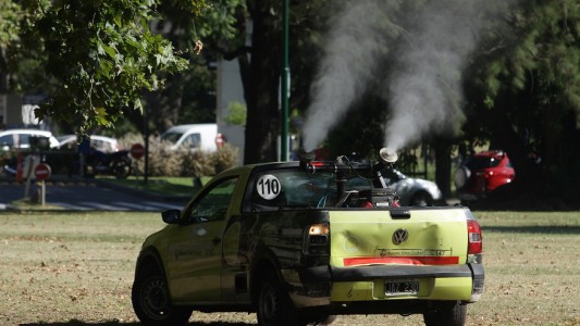 Entre confirmados y probables, hay 550 casos de dengue en la ciudad de Buenos Aires