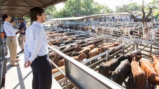 Mercado de Liniers: se permiten los remates "al oido"