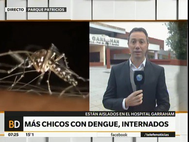 El dengue en la Capital: casos posibles, contagiados y autóctonos