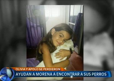 Ayudan a Morena a encontrar a sus perros