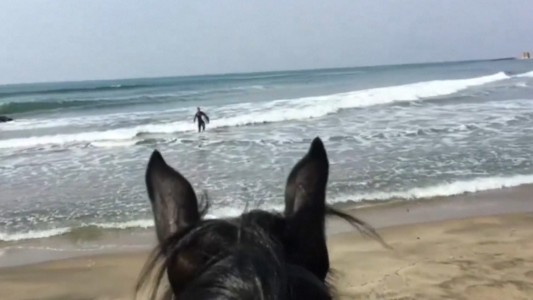 Coronavirus: Otro surfer que violó la cuarentena y la policía lo agarró in fraganti