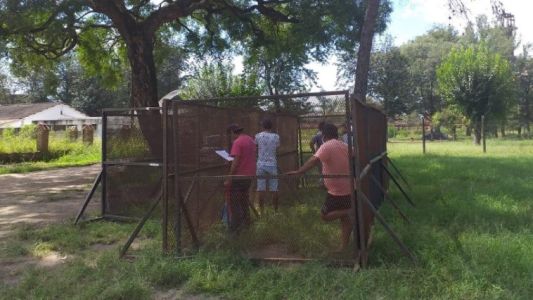 En una ciudad jujeña encierran en corralitos a infractores de la cuarentena