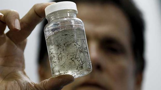 Piden intensificar prevención del dengue durante el fin de semana largo