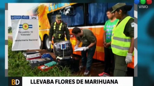 Detenido por llevar 30 kilos de "flores de marihuana"