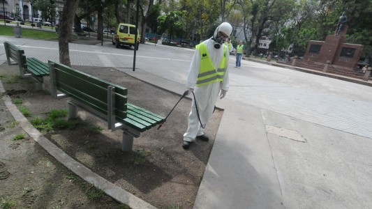 Dengue: "Estamos en el ápice del brote", afirmó el ministro de Salud