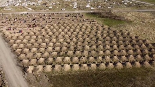 Coronavirus: Trabajo por adelantado, cavaron 600 tumbas