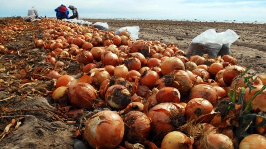 Con un operativo especial por el coronavirus, comenzó la exportación de cebolla