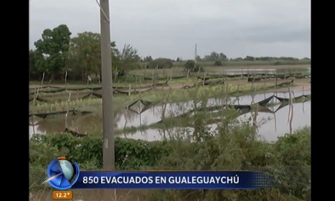 Gualeguaychú: 850 evacuados por las inundaciones