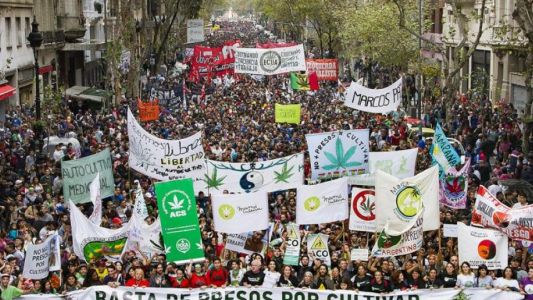 Este año realizan de manera virtual la Marcha Mundial de la Marihuana