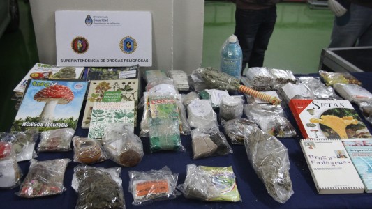 Incautaron drogas producidas a partir de hongos, cactus y veneno de sapos